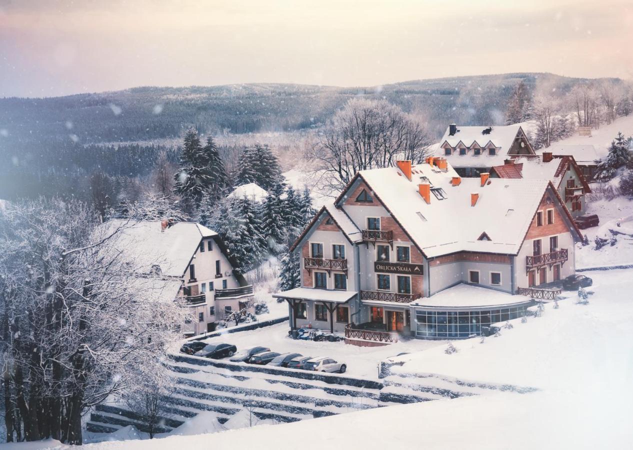 Orlicka Skala Bed & Breakfast Zieleniec  Dış mekan fotoğraf